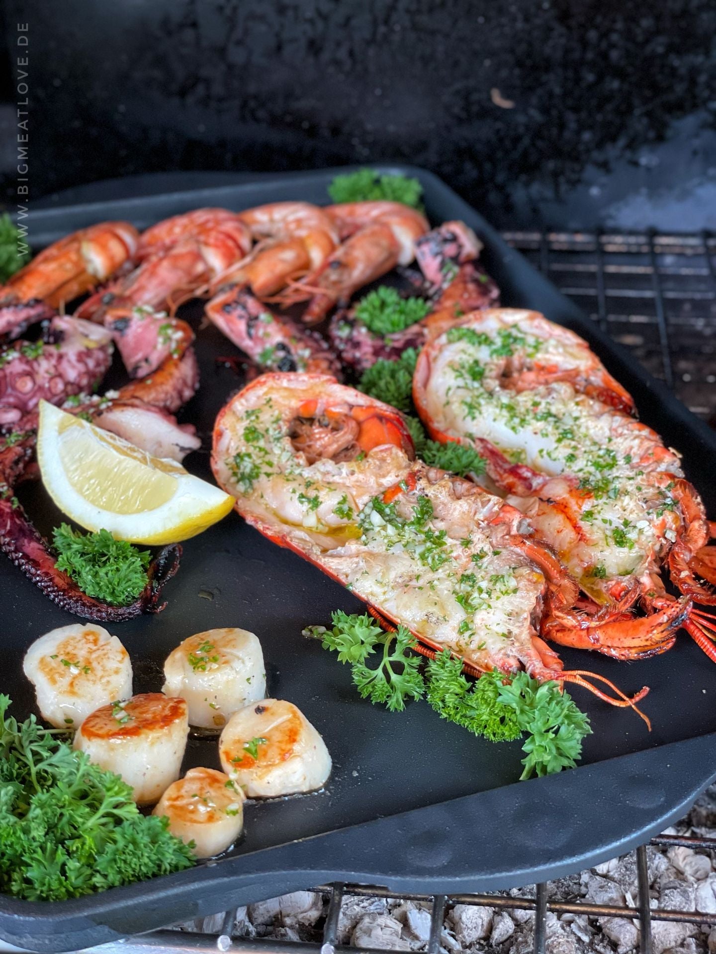 Woll NOWO Teppanyaki Grill